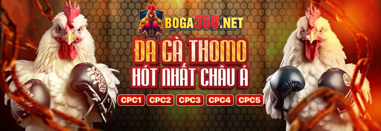 Đa dạng trò chơi cá cược trên MCW888 App