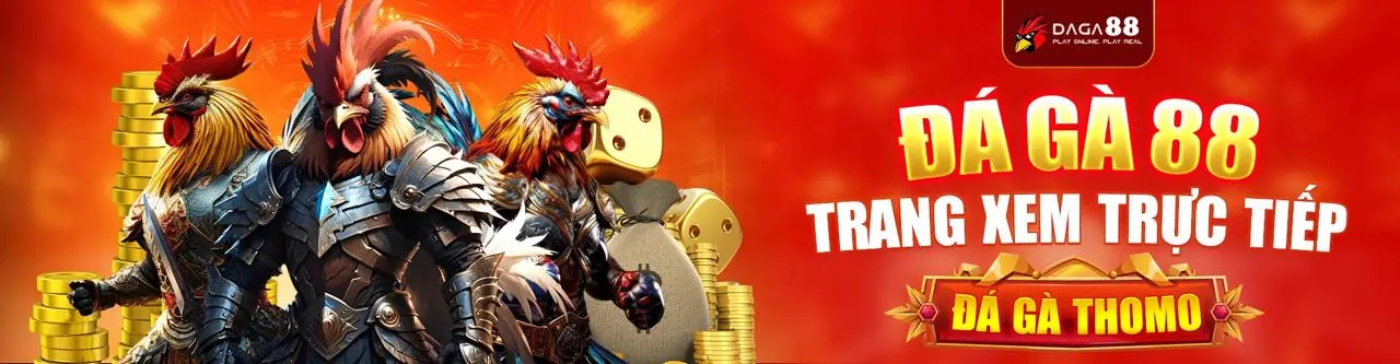 Chương trình Đại lý mcw888 app