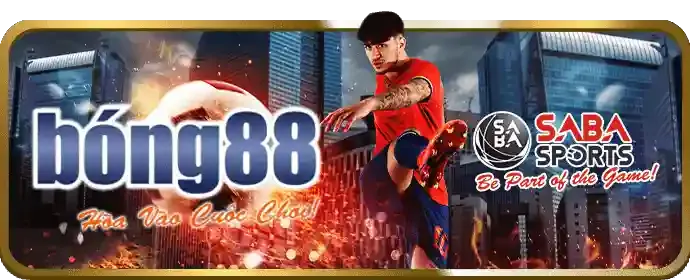 Cá cược trực tiếp mcw888 app